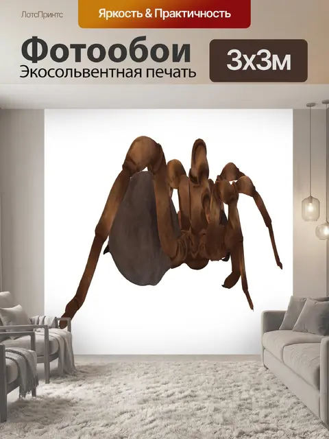 Фотообои ползучий паук