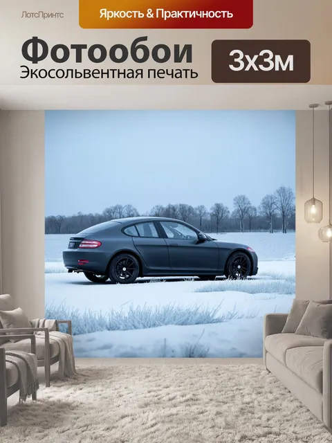 Фотообои машина в стиле минимализм: машина на фоне морозного утреннего пейзажа с инеем