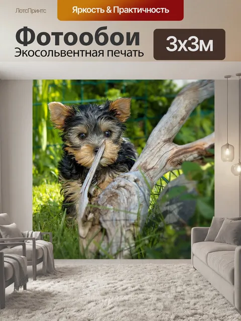 Фотообои Собака
