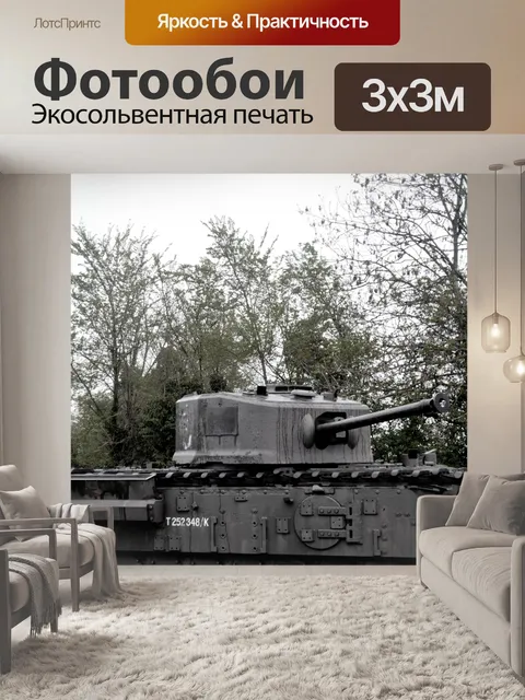 Фотообои Бак