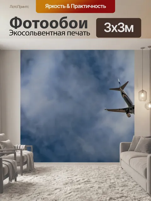 Фотообои Самолет в небе