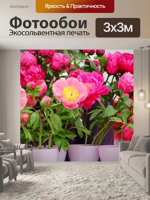 Фотообои Пион