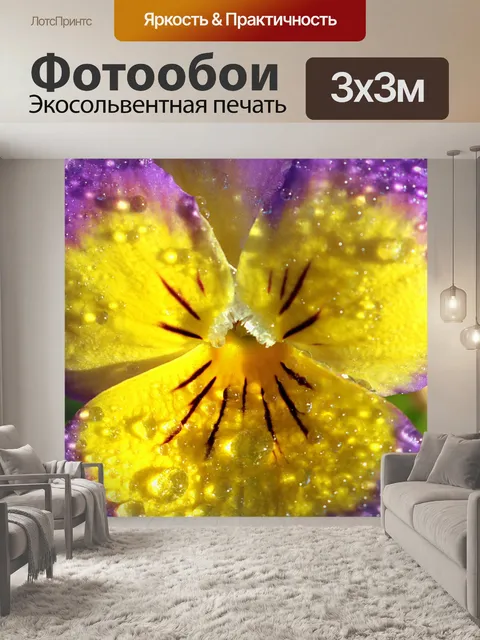 Фотообои Желтые и фиолетовые анютины глазки и рос