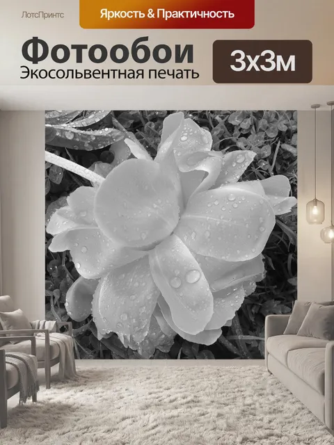 Фотообои Пион