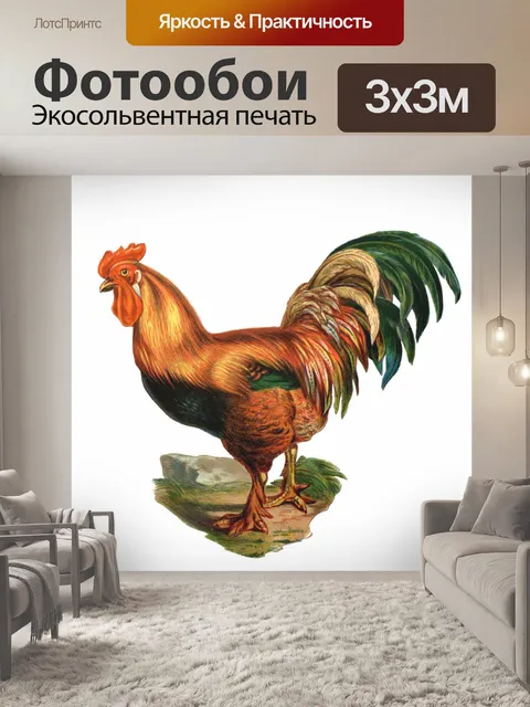 Фотообои Винтажная курица-петух