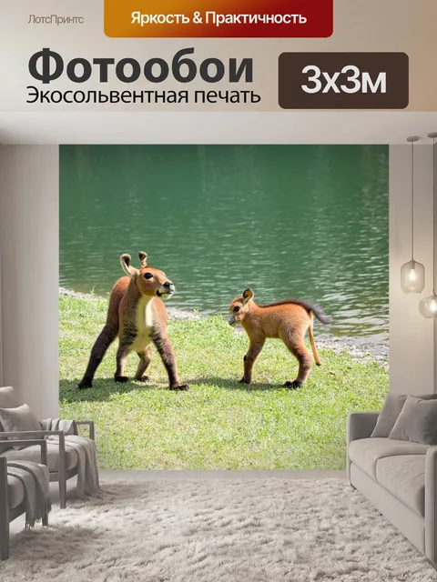Фотообои озеро, где играются забавные моменты с забавными животными