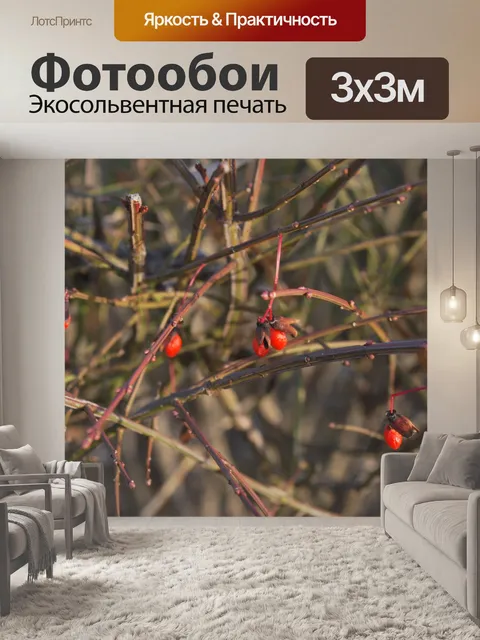 Фотообои Ягоды на кусте