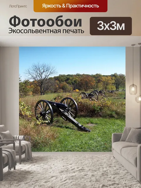 Фотообои Battlefield Cannons