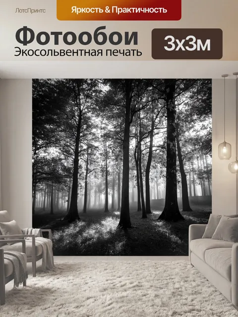 Фотообои черно-белый, представляющие поэтичный лес с высокими деревьями и густыми тенями, где за