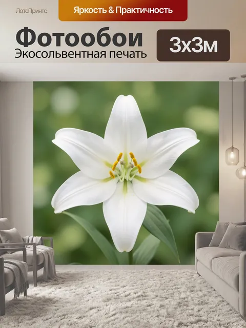 Фотообои Белая лилия на зеленом фоне