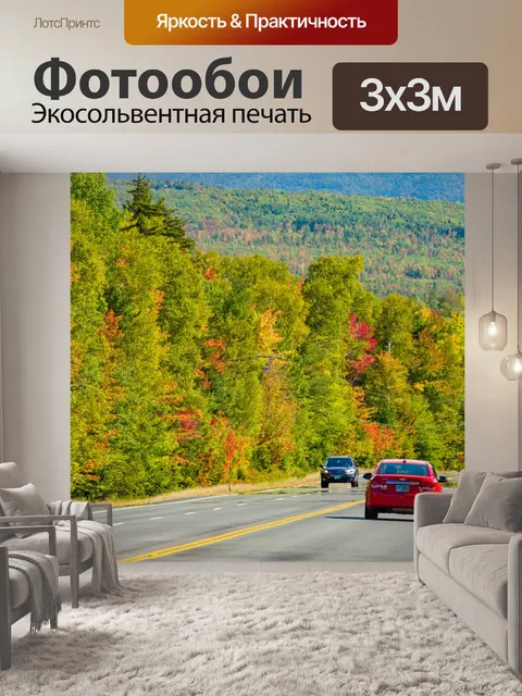 Фотообои Дорожные и осенние деревья