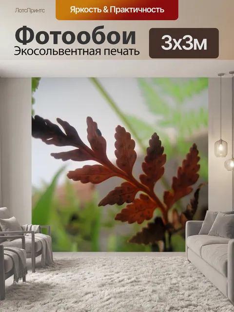 Фотообои коричневого цвета листья папоротника