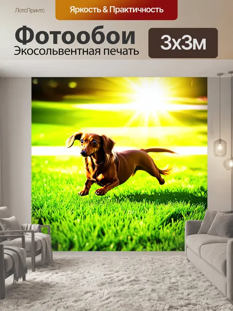 Фотообои длинношерстная такса, энергично бегущая по зеленой лужайке, с ярким солнечным светом, подчеркивающим ее шерсть