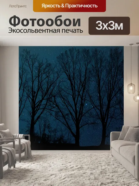 Фотообои Ночь