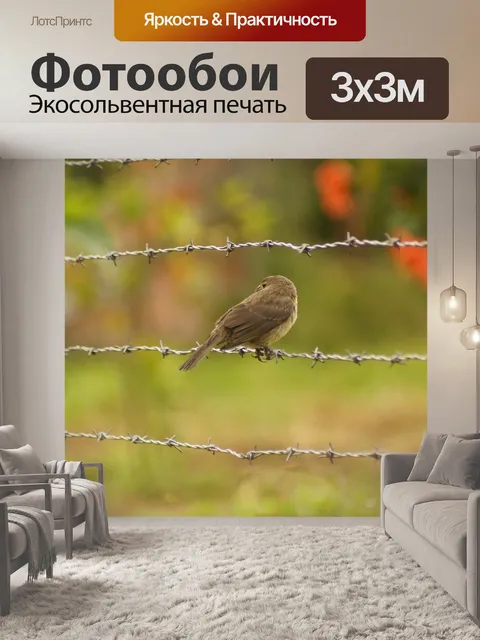 Фотообои Птицы