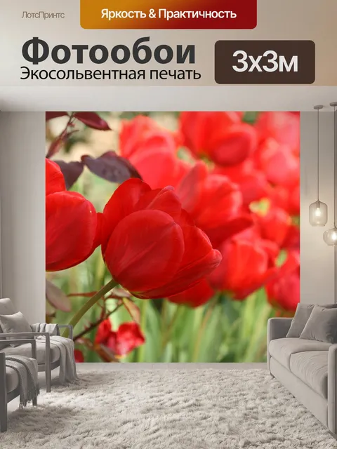 Фотообои Красные тюльпаны