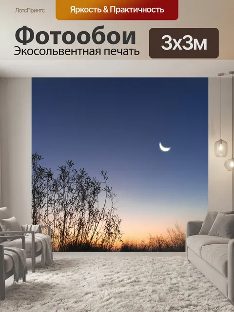 Фотообои Завтра