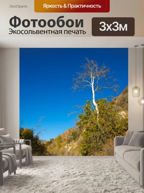Фотообои Белое дерево на склоне холма