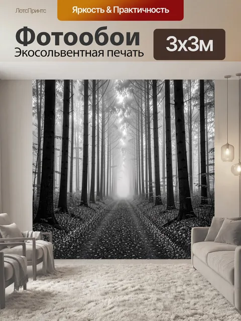 Фотообои Туманный лесной путь