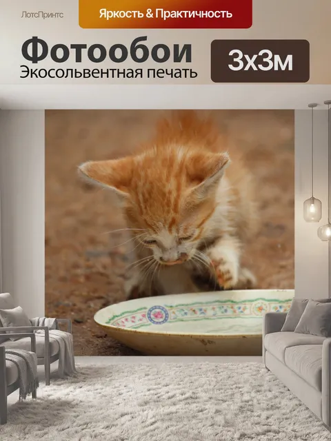 Фотообои Кошка