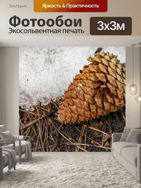 Фотообои Сосновая шишка в снегу