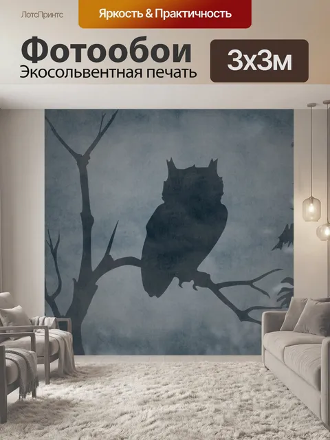 Фотообои Сова Силуэт