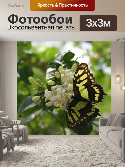 Фотообои Бабочка