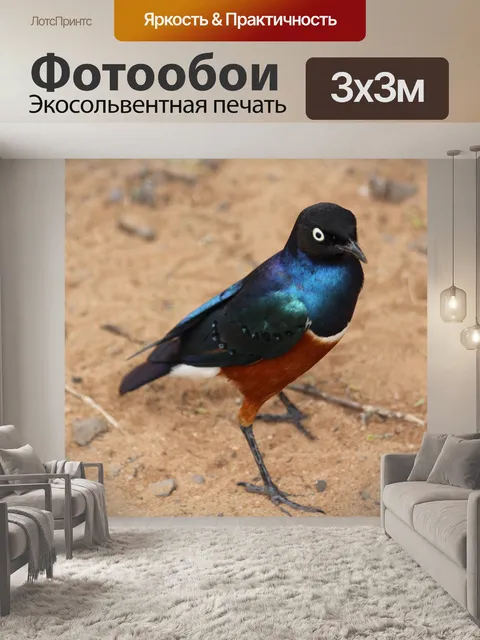 Фотообои Птица