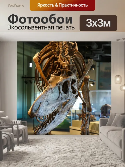 Фотообои Скелет динозавра