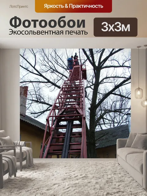 Фотообои Спил