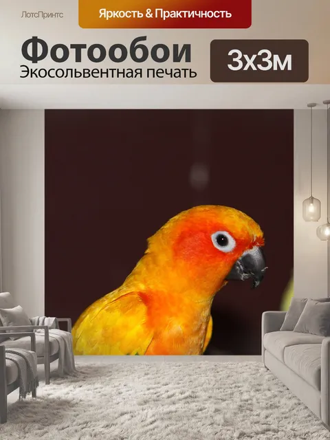 Фотообои Попугай