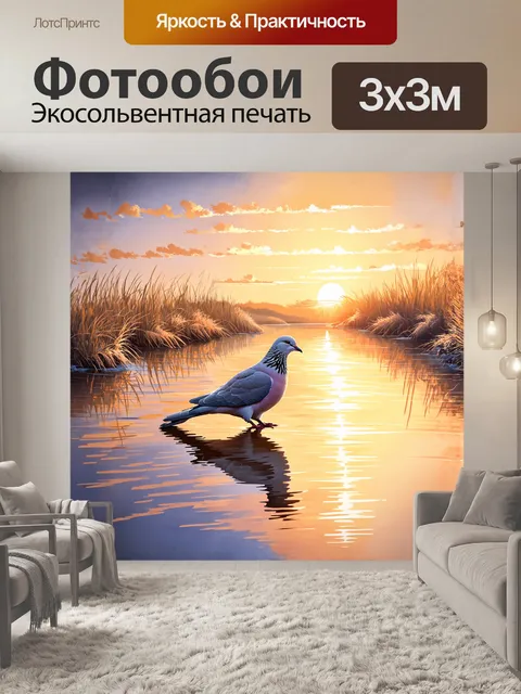 Фотообои воркующий голубь на берегу реки, его перья сверкают на фоне закатного неба