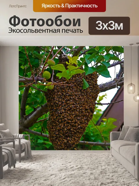Фотообои Пчелы