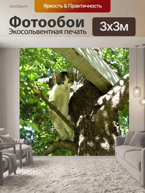 Фотообои Кошка