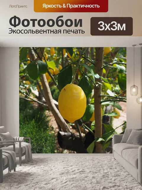 Фотообои Лимон