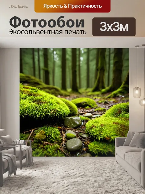 Фотообои лесная подушка из мягкого мха и влажные камни