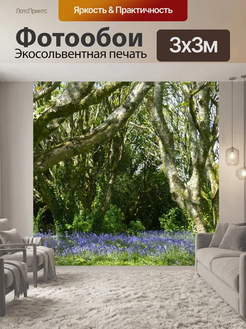 Фотообои Бабочка орхидея