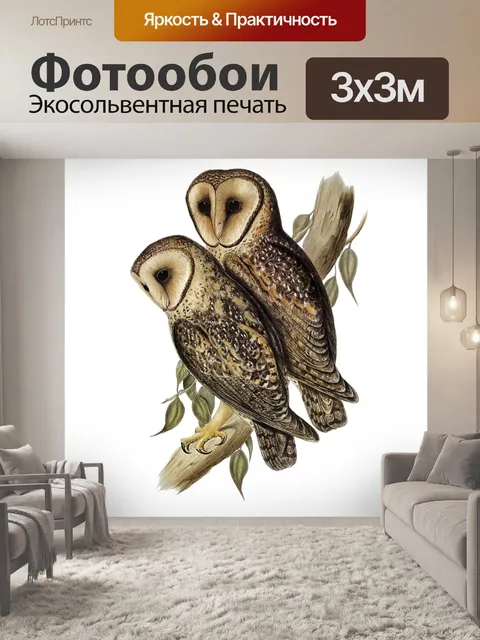 Фотообои Сова Винтаж клипарт наклейки