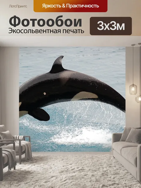 Фотообои Orca