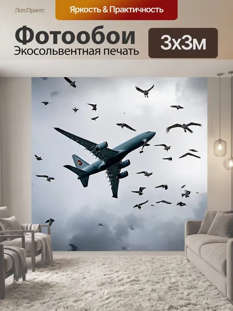 Фотообои самолет маневрирует в облаках, окруженный стаей птиц