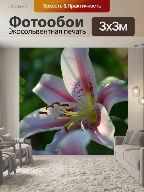 Фотообои Лили
