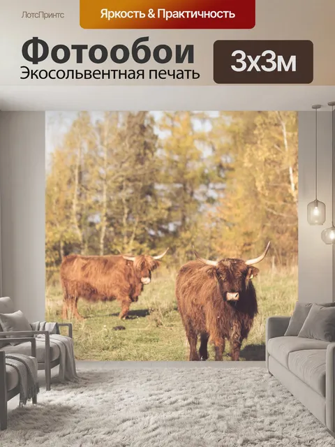 Фотообои Горный скот