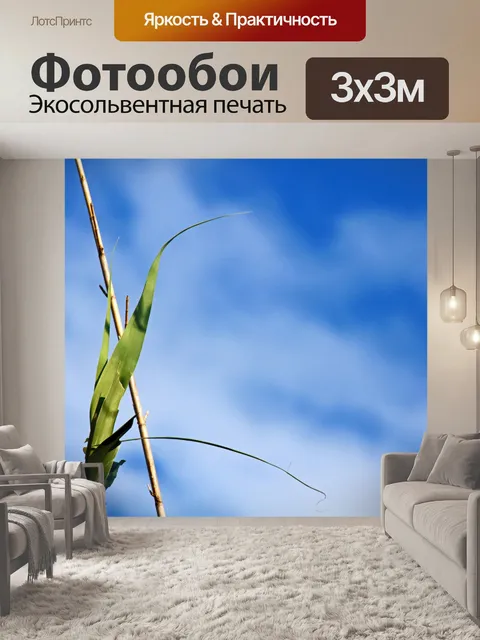 Фотообои зеленый тростник пересекает сухой тростн