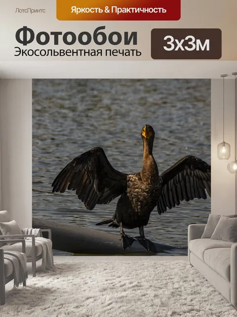 Фотообои Сухие крылья бакланов