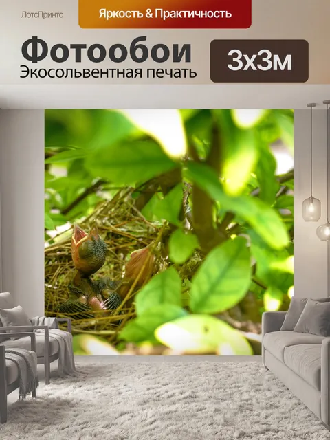 Фотообои Птица