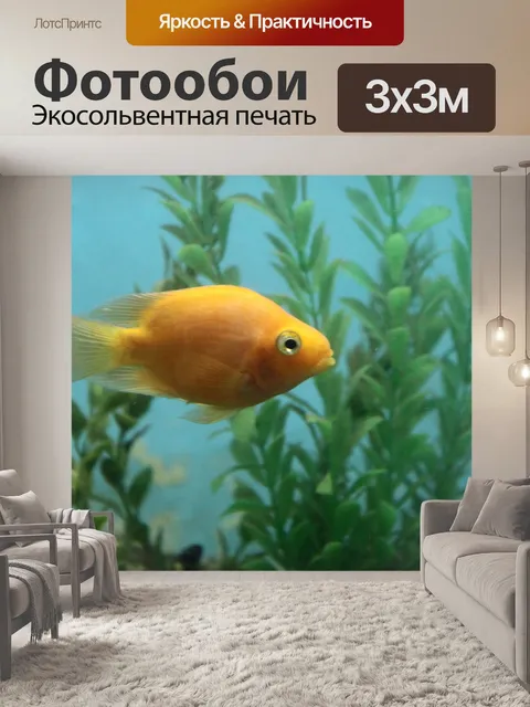 Фотообои Кровь Parrot cichlid