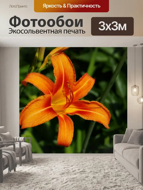 Фотообои Лили