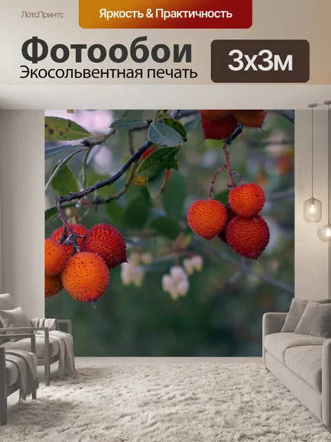 Фотообои Фрукты