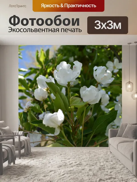Фотообои Белый
