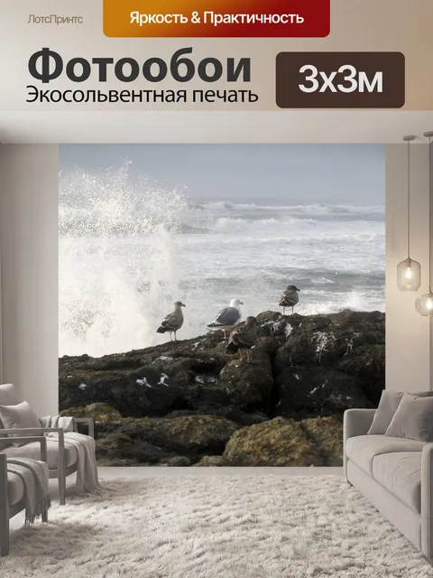 Фотообои Чайки